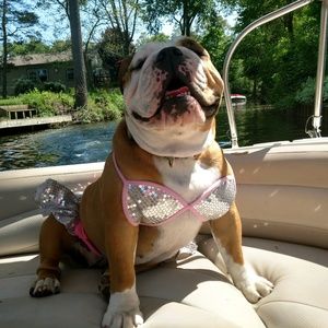 Meet your Posher, Kimberly